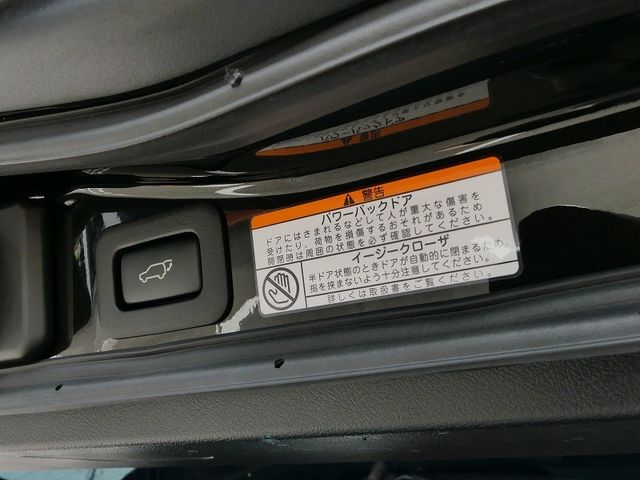 Lexus LX 2020-09 9972-19
