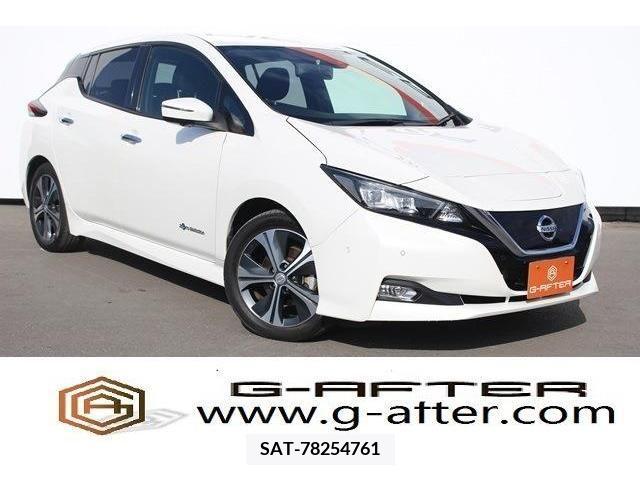 Nissan LEAF 2019-02 211334-0
