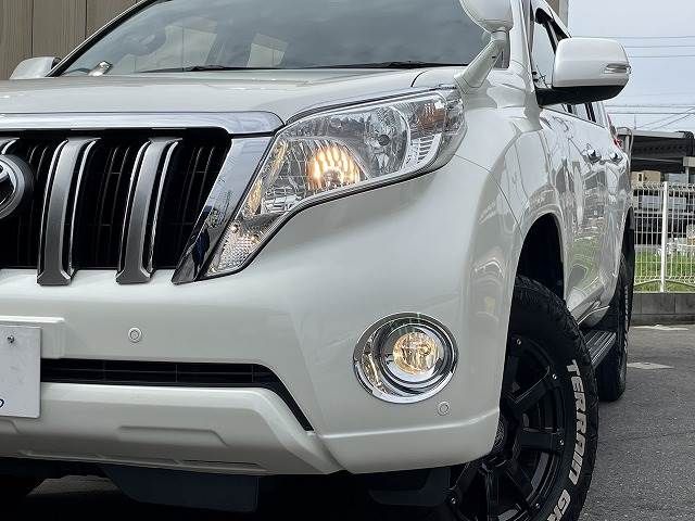 Toyota PRADO 2013-12 20985-19