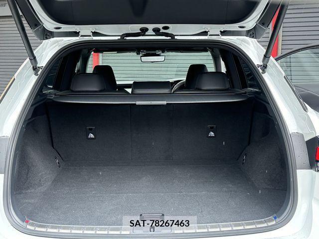 Lexus RX 2023-01 397146-18