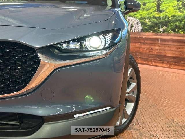 Mazda CX-30 2021-09 302122-12