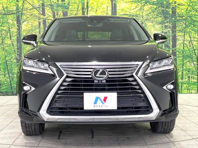 Lexus RX 2018-02 20671-14