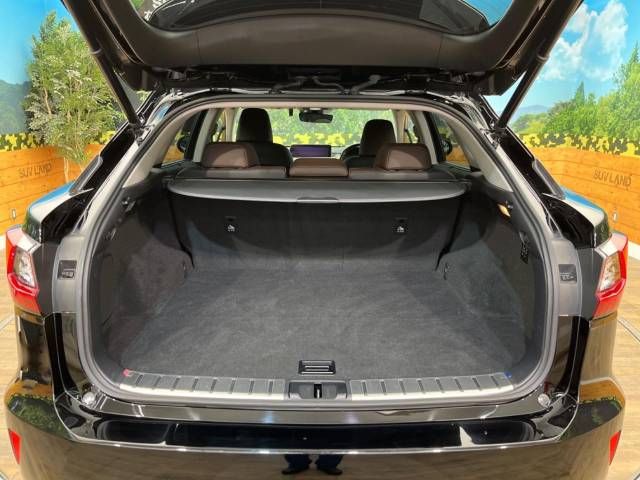 Lexus RX 2018-02 20671-10