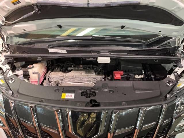 Toyota ALPHARD 2021-02 190802-19