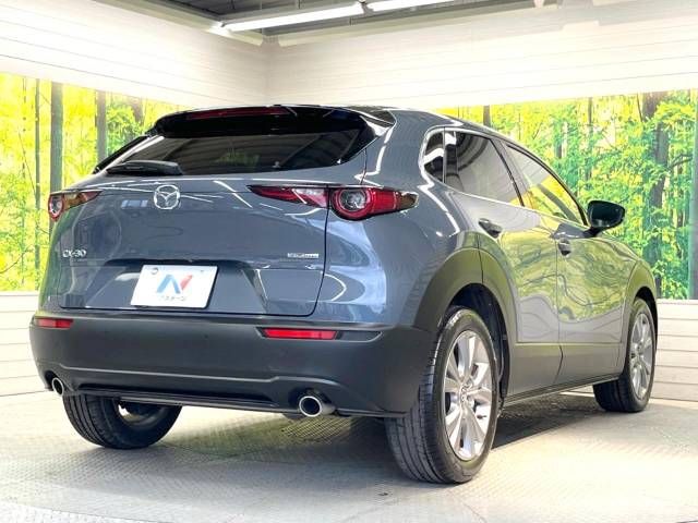 Mazda CX-30 2020-09 20630-17