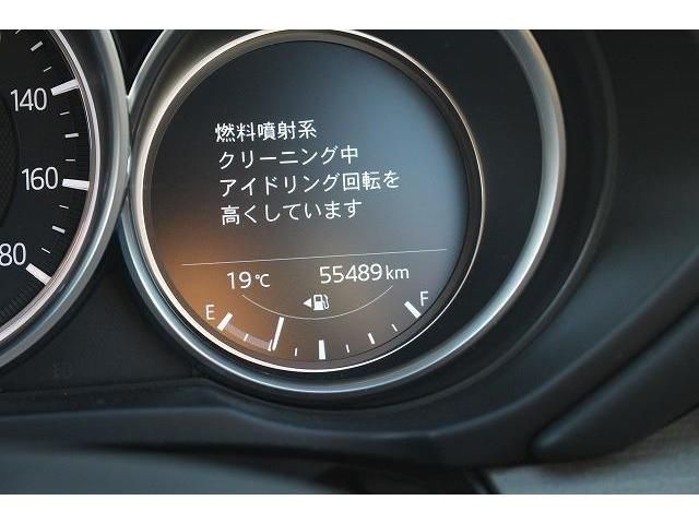 Mazda CX-8 2018-09 196405-18
