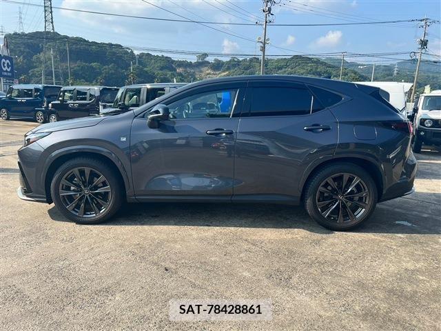 Lexus NX 2022-02 388159-7