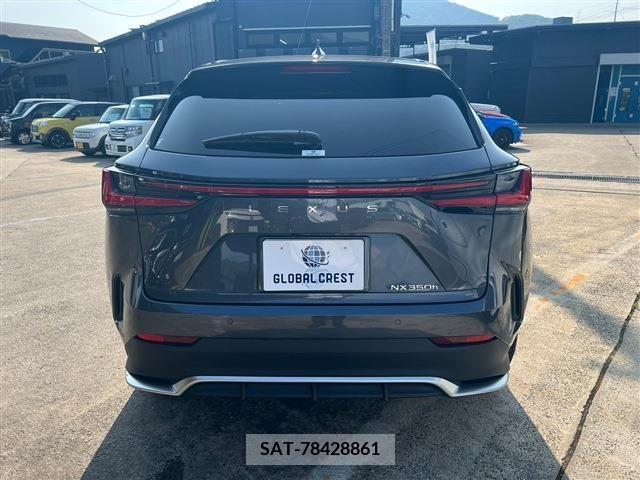 Lexus NX 2022-02 388159-6