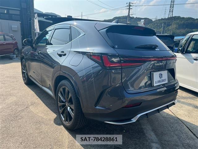 Lexus NX 2022-02 388159-5