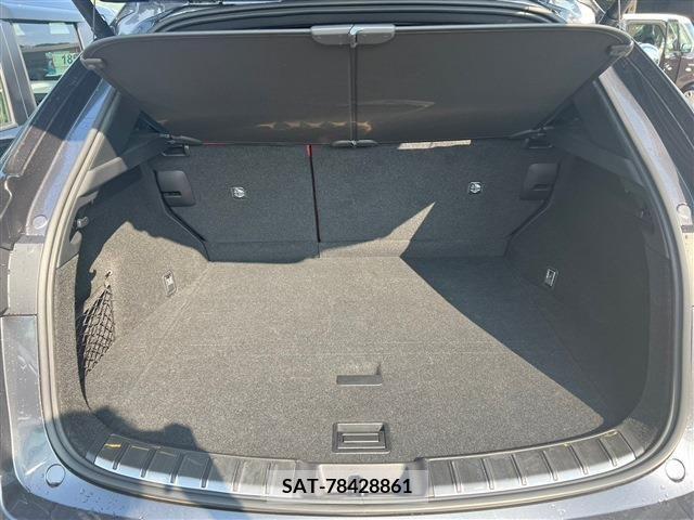 Lexus NX 2022-02 388159-4