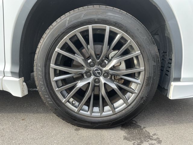 Lexus RX 2021-05 15234-27