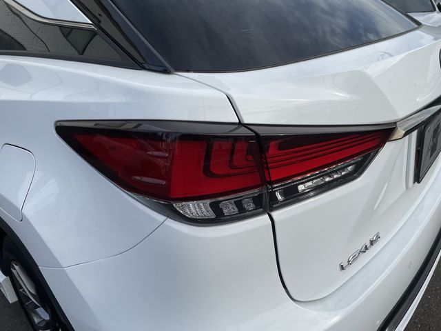 Lexus RX 2021-05 15234-22