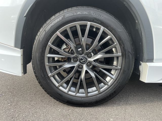 Lexus RX 2021-05 15234-26