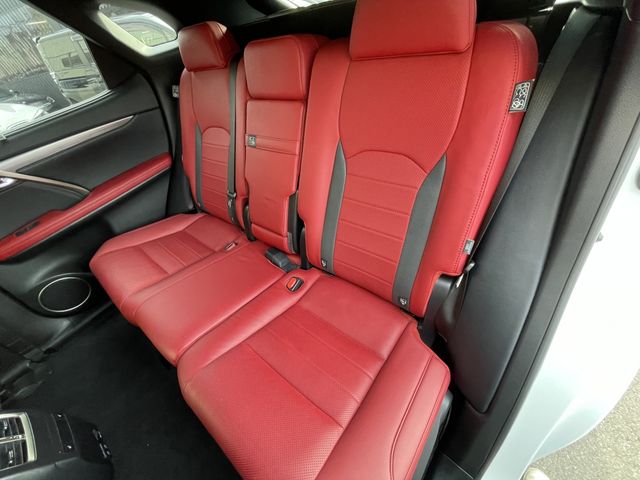 Lexus RX 2021-05 15234-13