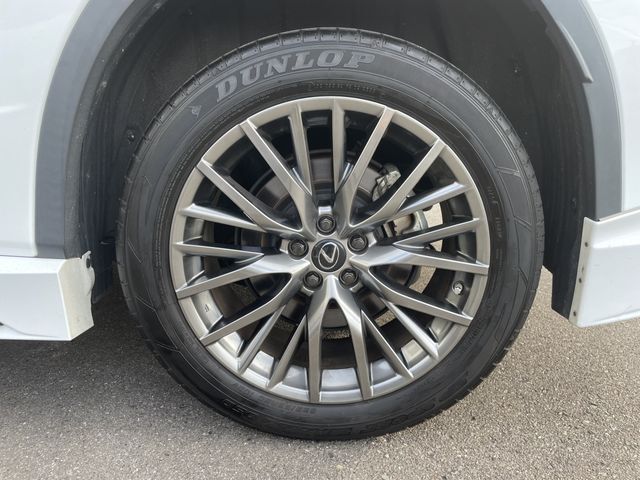 Lexus RX 2021-05 15234-28