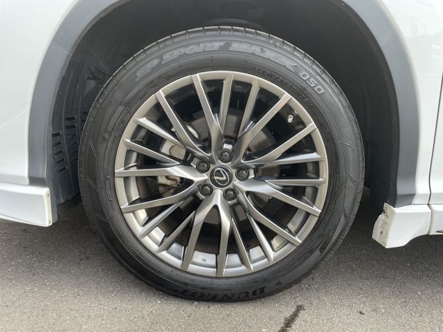 Lexus RX 2021-05 15234-25