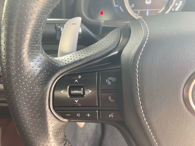 Lexus LC 2018-01 814-16