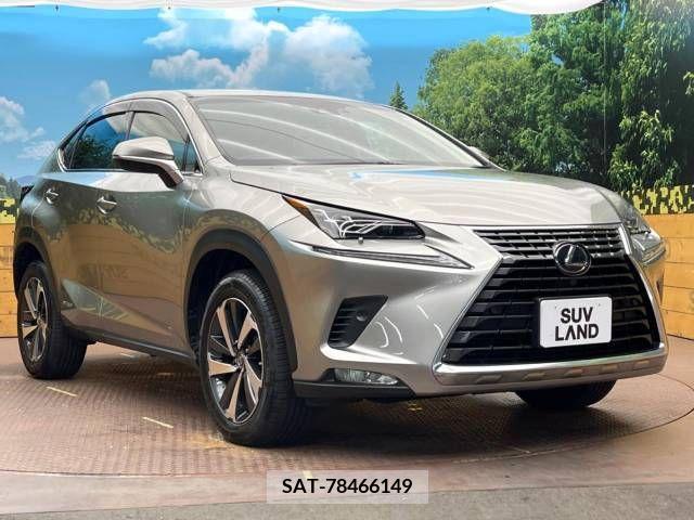 Lexus NX 2018-12 362931-14