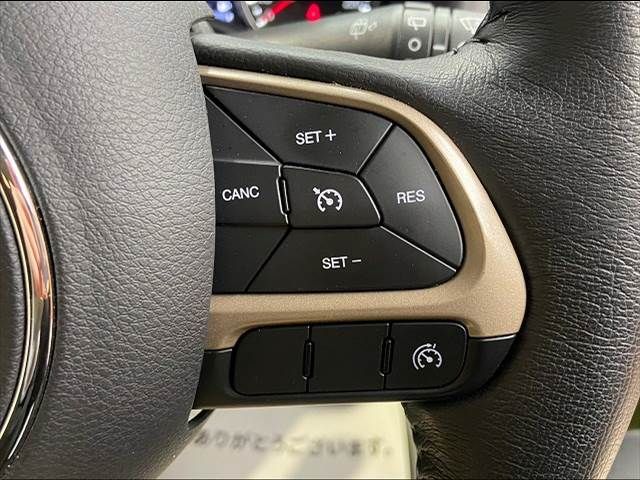 Jeep RENEGADE 2016-06 15920-6