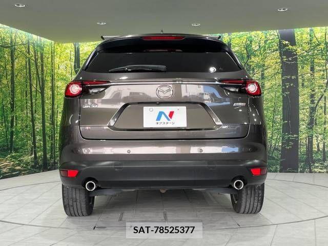 Mazda CX-8 2019-08 331668-16