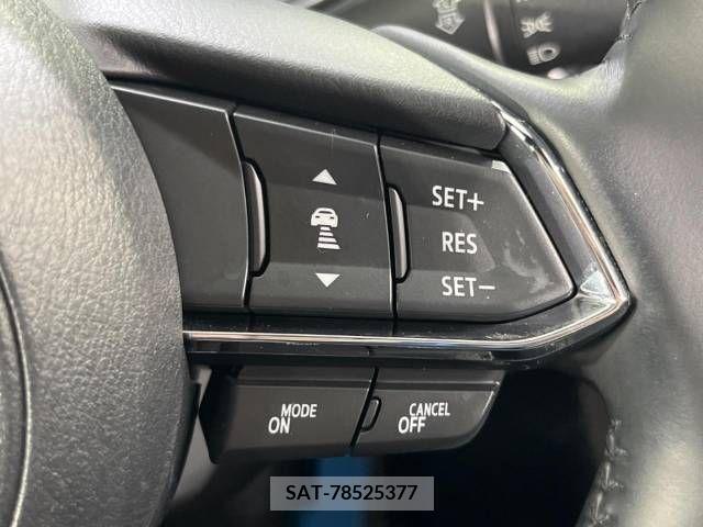 Mazda CX-8 2019-08 331668-6