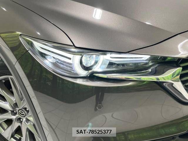 Mazda CX-8 2019-08 331668-13