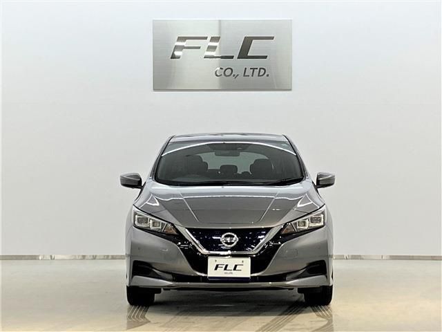 Nissan LEAF 2019-01 3724-1