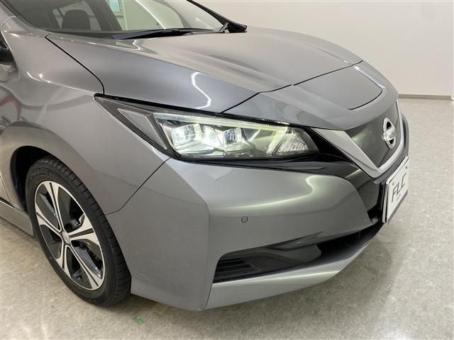 Nissan LEAF 2019-01 3724-7