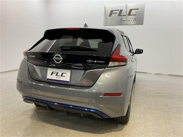 Nissan LEAF 2019-01 3724-4