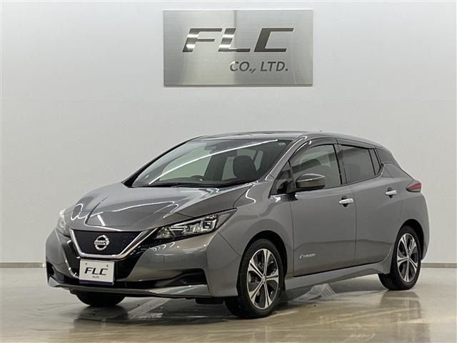 Nissan LEAF 2019-01 3724-0
