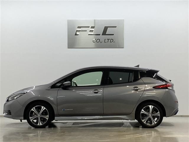 Nissan LEAF 2019-01 3724-2