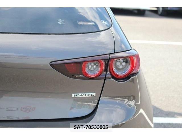 Mazda MAZDA3 2019-09 301078-13