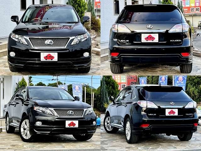 Lexus RX 2011-10 9455-3
