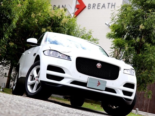 Jaguar F-PACE 2019-03 19224-3