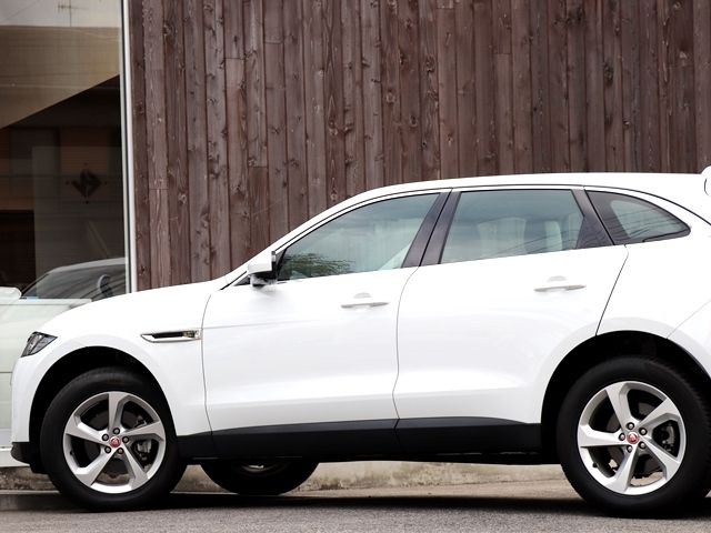 Jaguar F-PACE 2019-03 19224-7
