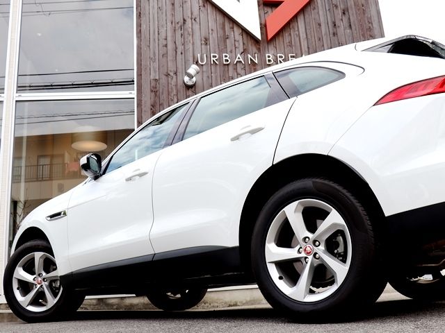 Jaguar F-PACE 2019-03 19224-8