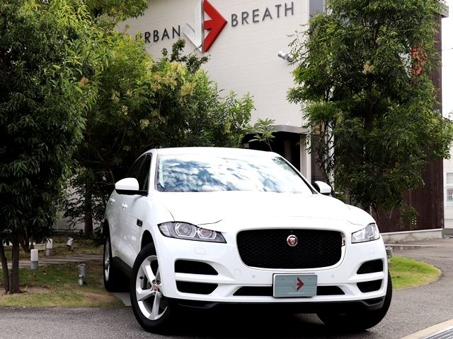 Jaguar F-PACE 2019-03 19224-0