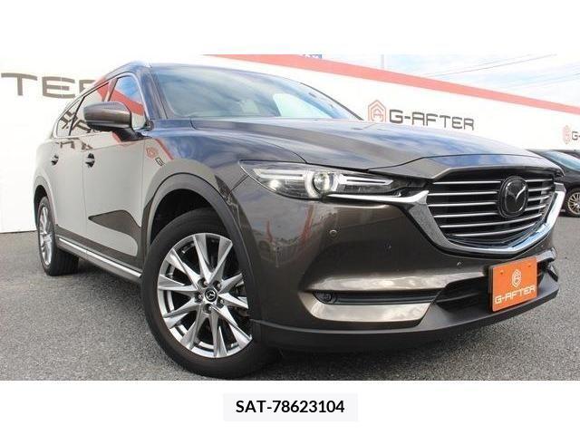 Mazda CX-8 2018-01 204672-11