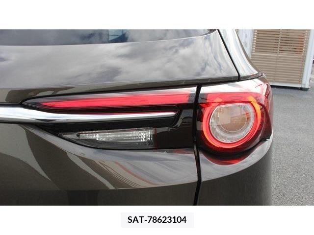 Mazda CX-8 2018-01 204672-12