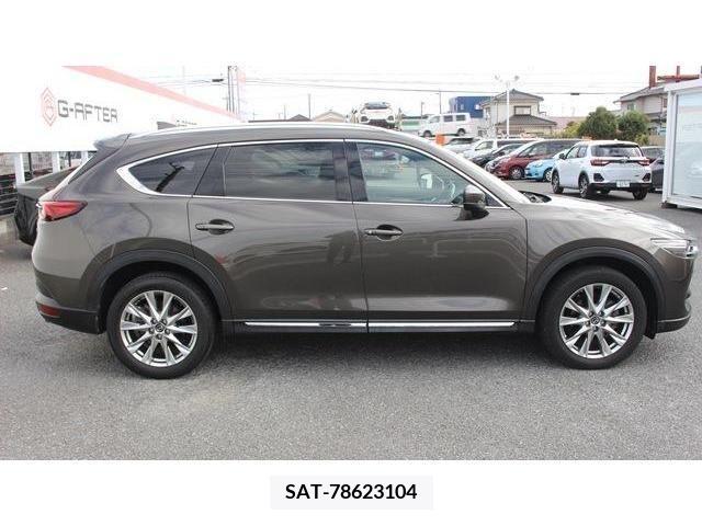 Mazda CX-8 2018-01 204672-9