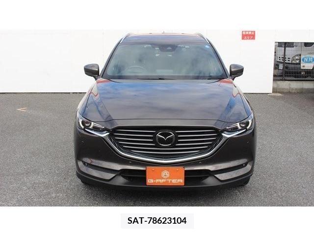 Mazda CX-8 2018-01 204672-6