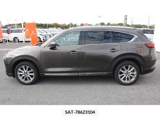 Mazda CX-8 2018-01 204672-7