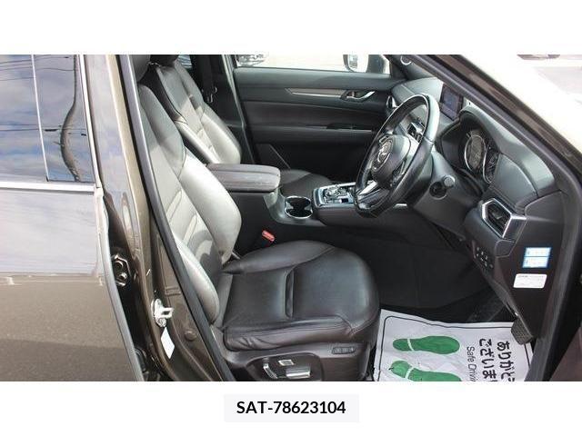 Mazda CX-8 2018-01 204672-13