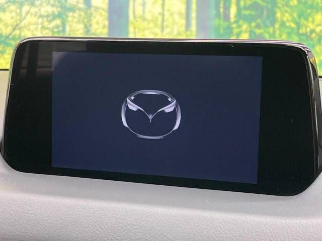 Mazda CX-8 2018-07 26865-2