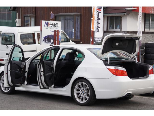 Bmw 5 SERIES 2009-04 189526-10