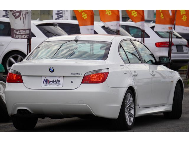 Bmw 5 SERIES 2009-04 189526-1