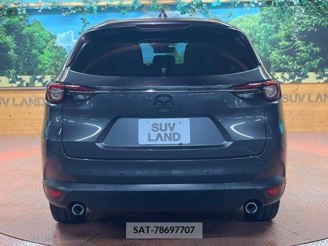 Mazda CX-8 2018-01 341911-18
