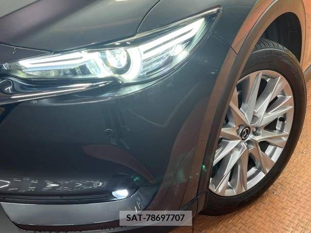 Mazda CX-8 2018-01 341911-15