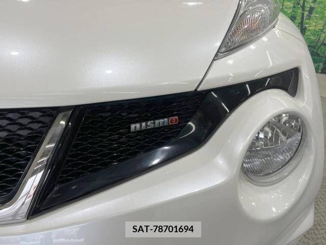 Nissan JUKE 2013-06 381096-4