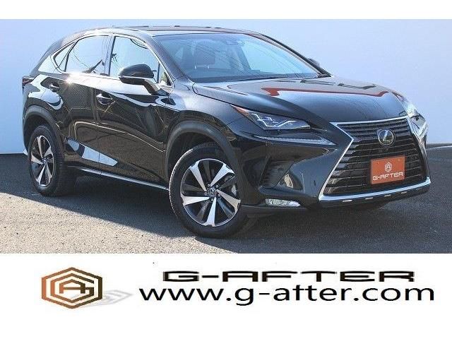 Lexus NX 2018-03 14188-0